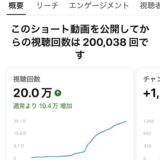🌼唐花亀甲の刺し子ショートが20万再生を超えました｜ありがとうございます